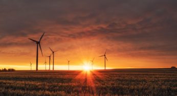 COP26: The Environment and Cannabis
