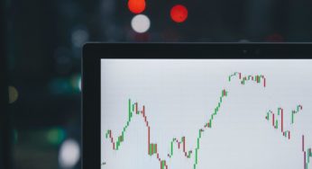Cannabis Falls 50% In the Stock Market While Landlords Make Gold