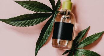 Is Medical Cannabis Legalized in France?