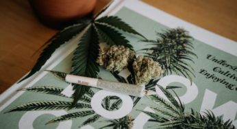 Emerald Cup Turns to Terpenes, Changing Its Cannabis Classification System