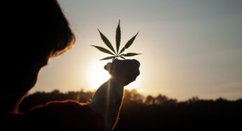 Cannabis Legalization Soon to Be Introduced in Rhode Island