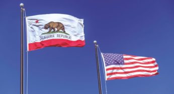 Will California Succeed in Reforming its Cannabis Tax System?