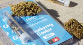 What is HHC, and Is it Legal in France?