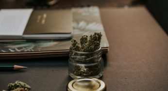 Poll: More Americans Think It’s Better to Use Cannabis than Alcohol