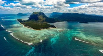 Mauritius Starts a Trial on Therapeutic Cannabis