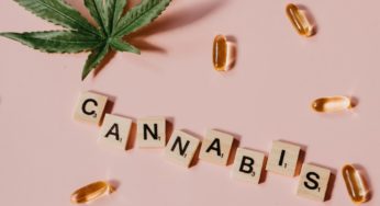 Cannabis Legalization Back on the European Media Scene