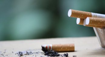 With the Tobacco Market at Its Lowest, Growers in Malawi Turn to Cannabis