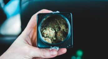 Driving Under the Influence Is Rarer in States Where Cannabis Is Legal