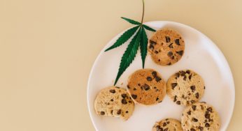 Recreational Cannabis Whets Investor Appetites in Germany