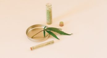 One Year After the First Medical Cannabis Prescription in France, Where Are We Now?
