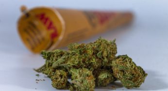 Swiss City Lausanne to Launch Controlled Cannabis Sales Project