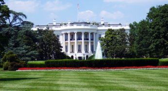 Biden Administration Reviews Cannabis and Drug Harm Reduction Policies