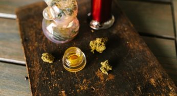 Thai Government Restricts Legal Use of Cannabis after Complaints