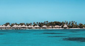 Legislative Candidates in Polynesia All in Favor of Therapeutic Cannabis