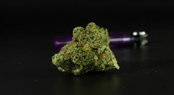 Thailand Puts an End to the War on Drugs