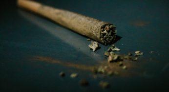 Here’s Why Snoop Dogg Microwaves His Blunts for 11 Seconds before Smoking Them