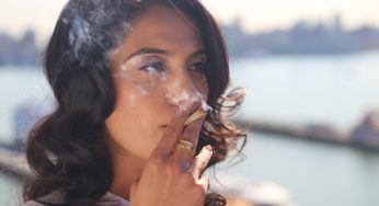 Long-Term Cannabis Users Face No Negative Health Impacts, Says Spanish Study
