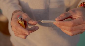 The Economic Benefits of Legalizing Cannabis for Adults