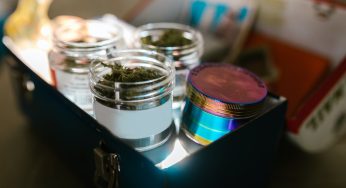 Illinois Hit 1.5 Billion Worth of Cannabis Sales in 2022