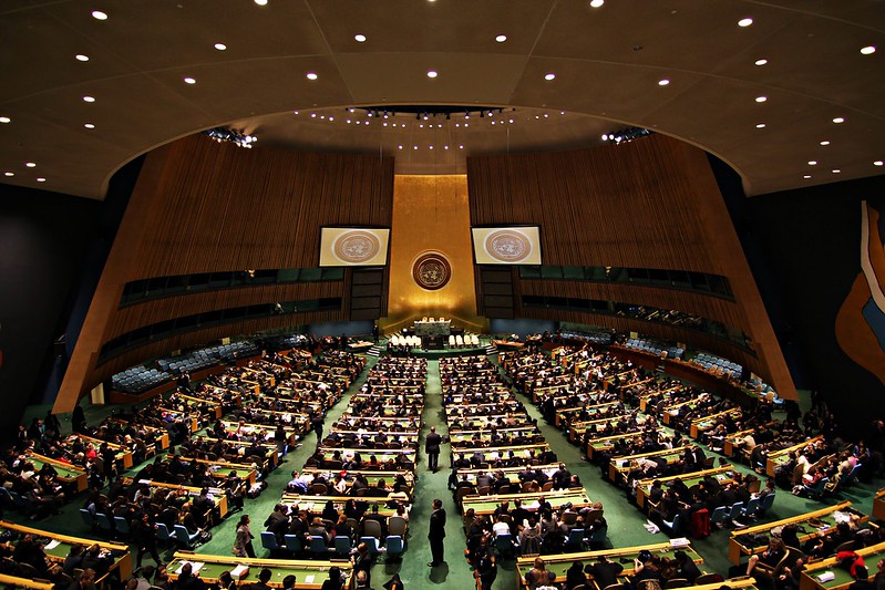 Seeing Green at the United Nations: The Turning Tide for Hemp