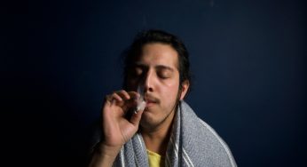 Cannabis Use in Quebec Remains Stable Since Legalization