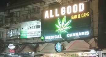 Will the Move Forward Party Do an About-Face on Thai Cannabis Legalization?