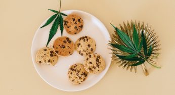 Europe No Longer Considers Hemp Leaves as a Novel Food