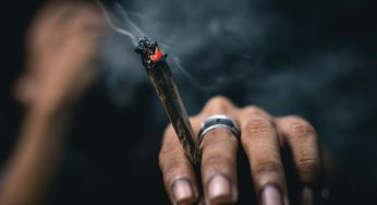Germany Launches a Cannabis Risk Reduction Campaign
