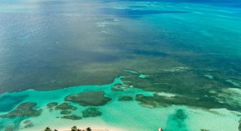 The Bahamas to Decriminalize Cannabis and Legalize its Medical, Religious, and Scientific Uses