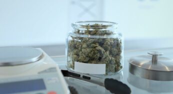In Canada Too, Cannabis Product THC and CBD Content Is “Inflated”