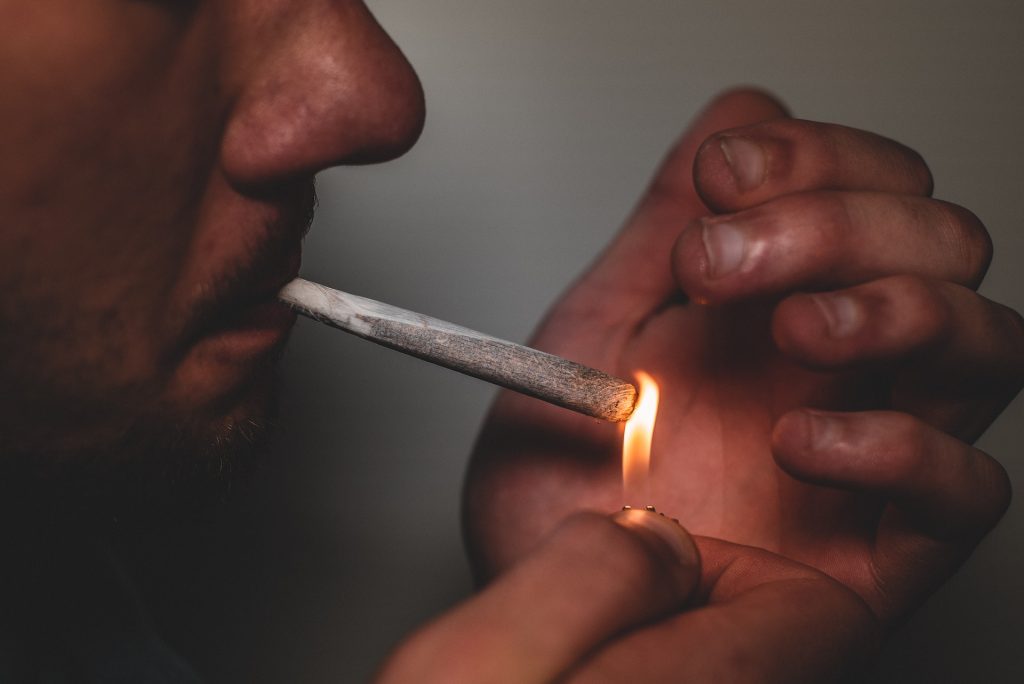Health of Regular Cannabis Users Comparable or Better Than General Population, Study Indicates