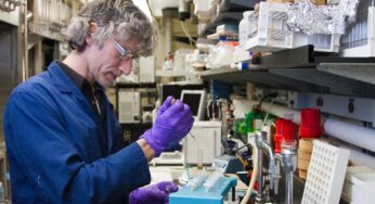 Blood Plasma Substitute From Hemp Seeds on the Horizon