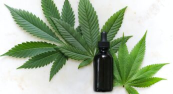 COVID-19 and Cannabis: Potential for Prevention and Reduction of Severity