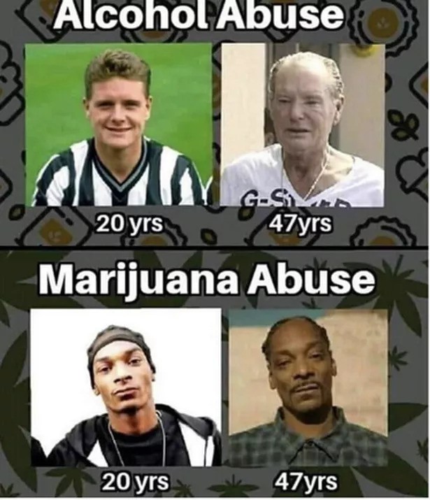 Snoop Dogg Alcohol vs Cannabis
