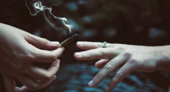 Cannabis Legalization in Germany: Bundesrat Validates Bill