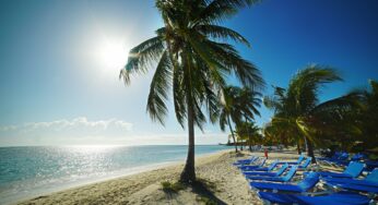 Bahamas Medical Cannabis Bill Submitted to the House of Assembly