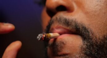 Consuming Cannabis in the Evening Does Not Impair Cognitive or Driving Abilities the Next Day